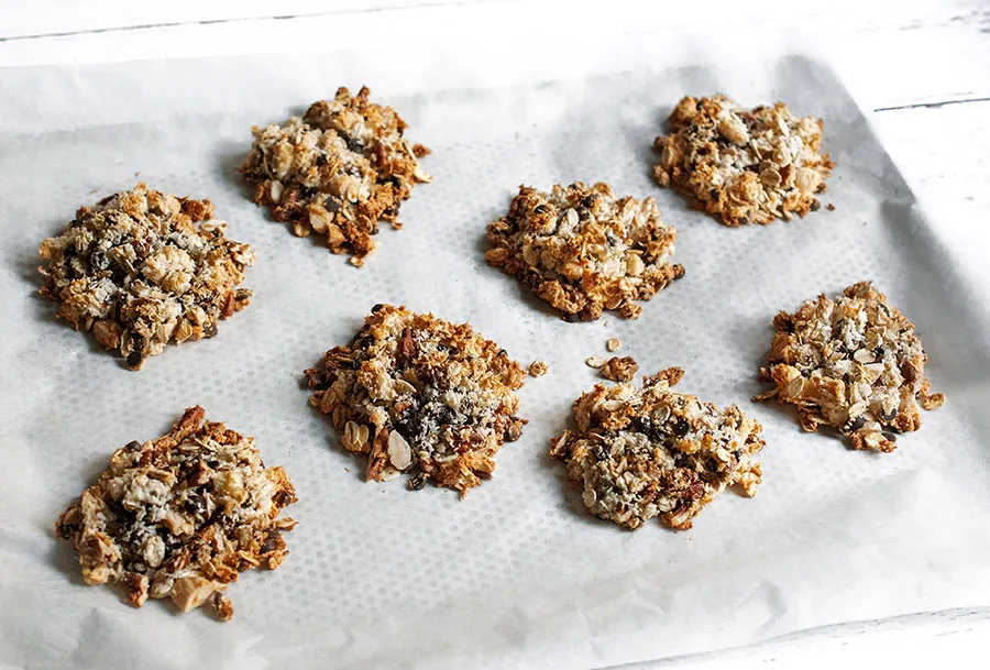 Biscotti di avena al cocco e cacao. veg. senza glutine